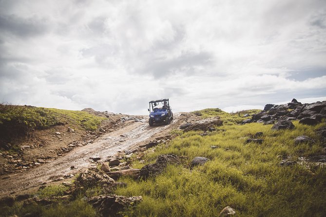 Small-Group Half-Day UTV Adventure Morning Tour in Aruba - Tour Overview and Experience