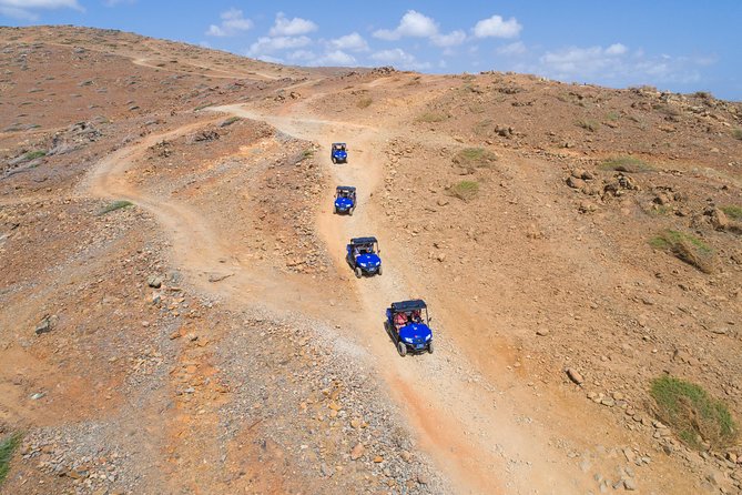 Small-Group Half-Day UTV Adventure Morning Tour in Aruba - Health and Safety Restrictions