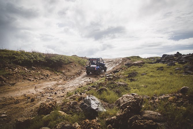 Small-Group Half-Day UTV Adventure Morning Tour in Aruba - Guides and Customer Feedback