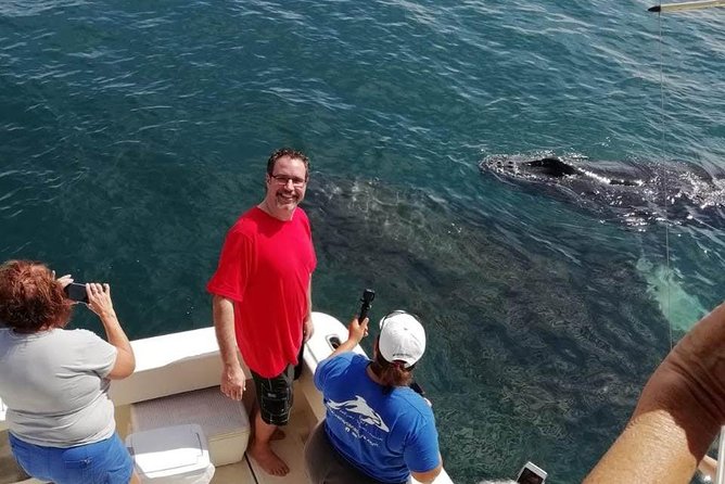 Small-Group Half-Day Whale-Watching Tour in Puerto Vallarta - Meeting and Pickup Details