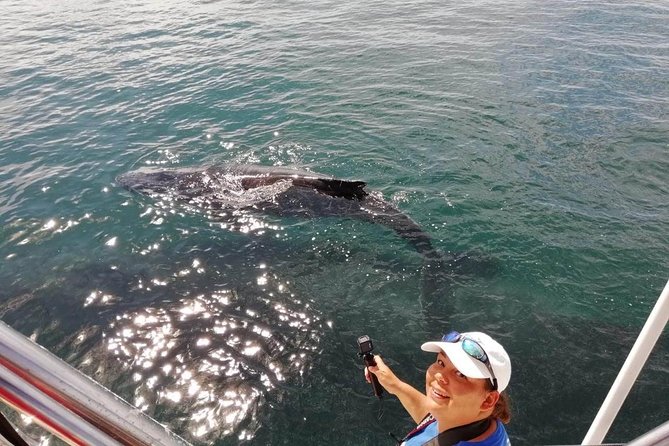 Small-Group Half-Day Whale-Watching Tour in Puerto Vallarta - Seasonal and Weather Information