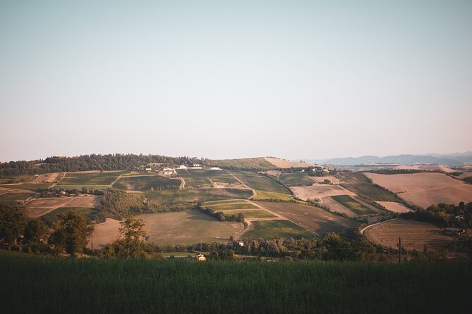 Small-Group Half-Day Wine Tour With Tasting in Dozza Village - Medieval Village Exploration