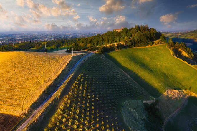 Small-Group Half-Day Wine Tour With Tasting in Dozza Village - Wine and Food Tasting