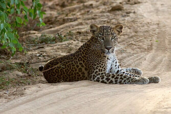 Small Group Hambantota City Tour - FAQ