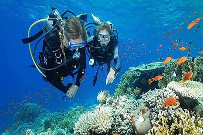 Small-Group Havelock Island Discover Scuba Diving Experience - Scuba Gear and Equipment