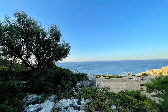 Small Group Hiking From Pefkos to Navarone Bay at Sunrise - Promontory and Pine Forest