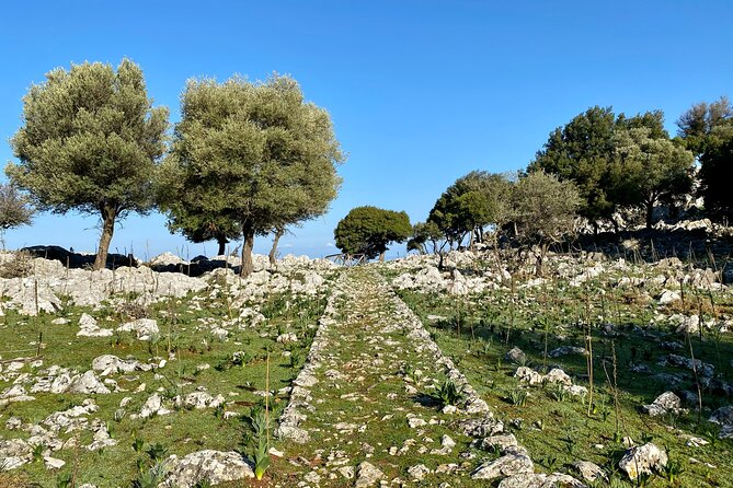 Small Group Hiking From Salakos to Profitis Ilias - What to Bring and Prepare