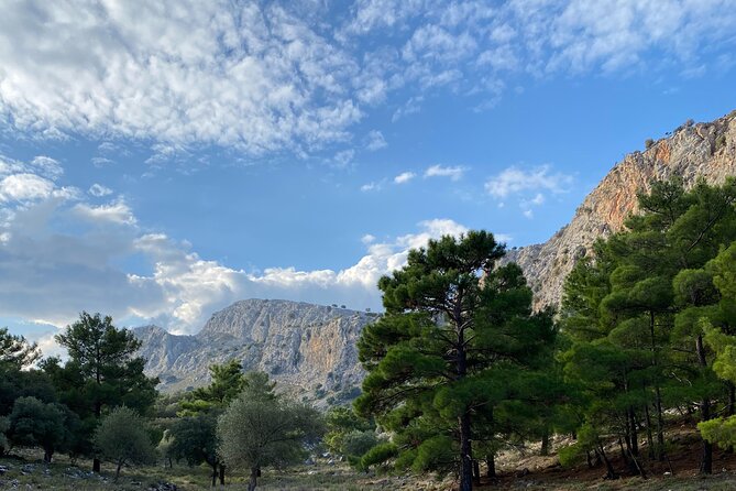 Small Group Hiking in Lindos - Hiking Equipment and Provisions