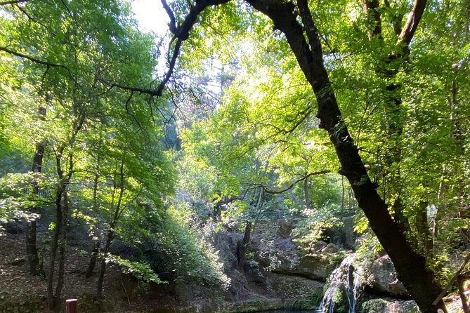 Small Group Hiking to Rhodes Butterfly Valley - Confirmation and Accessibility