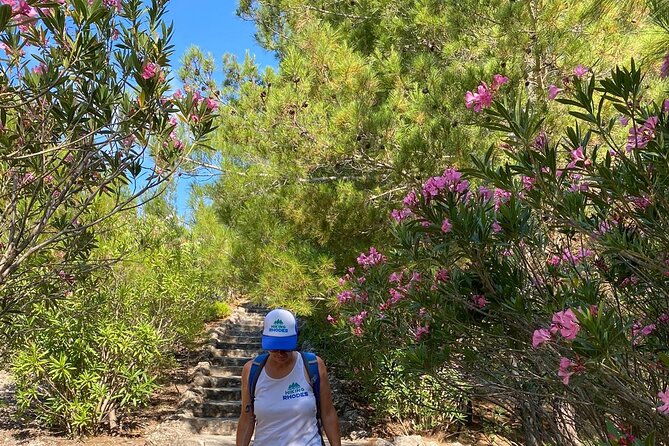 Small Group Hiking to Rhodes Butterfly Valley - Cancellation Policy