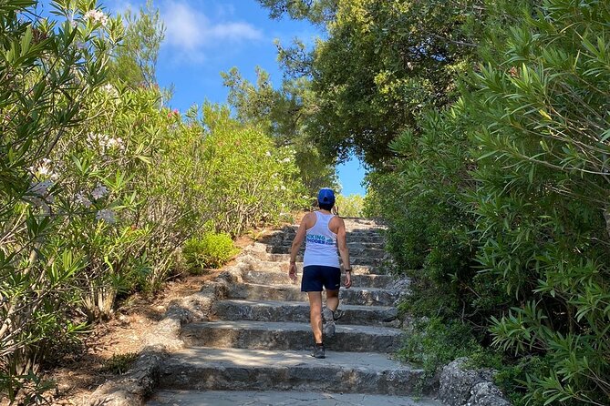 Small Group Hiking to Rhodes Butterfly Valley - Review Highlights