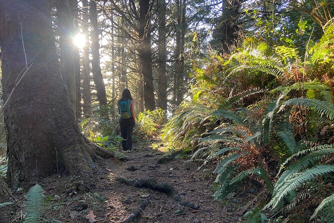 Small Group Hiking Tour to Cannon Beach on the Oregon Coast - Key Points