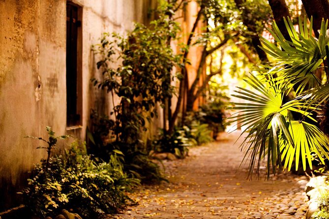 Small Group Historic Charleston Walking Tour - Transportation and Accommodations