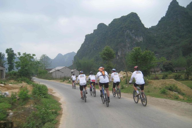 Small-Group Hoa Lu - Tam Coc Tour Review - Tour Highlights