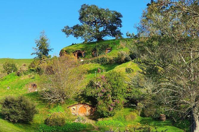 Small-Group Hobbiton Tour From Auckland With Party Marquee Lunch - Lunch at Party Marquee