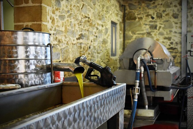 Small-Group Honey & Extra Virgin Olive Oil Tasting Tour in Crete - Experience Highlights