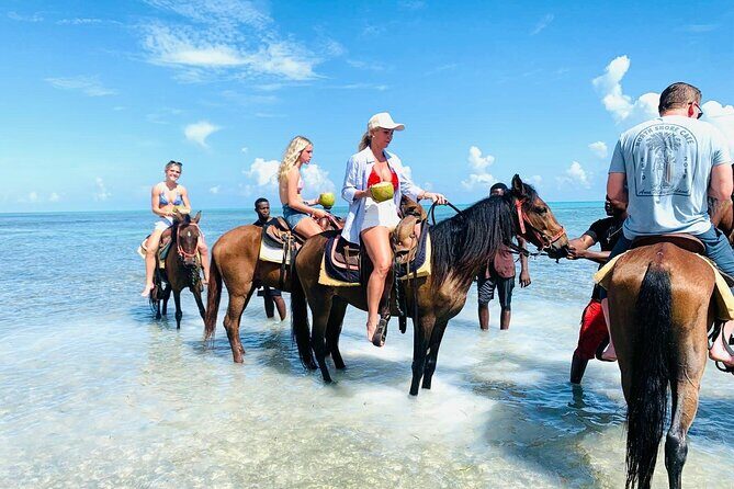 Small Group Horseback Riding Adventure in Caicos Islands - Why This Horseback Ride Is Worth Considering