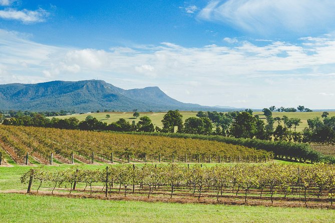 Small-Group Hunter Valley Wine & Cheese Tasting Tour From Sydney - Gourmet Lunch Offering