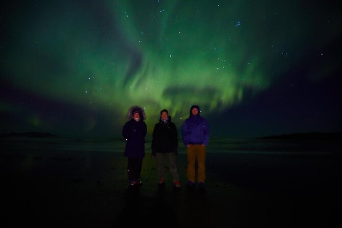 Small Group Hunting for the Northern Lights in Reykjavík Engus - Group Rates