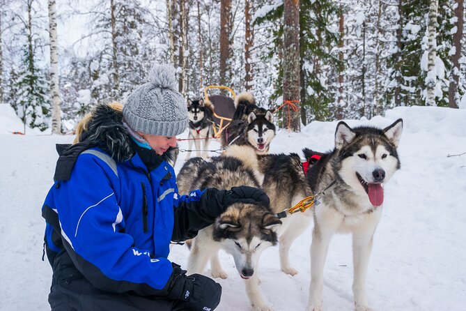 Small-Group Husky Mushing Experience in Rovaniemi - The Husky Sled Ride