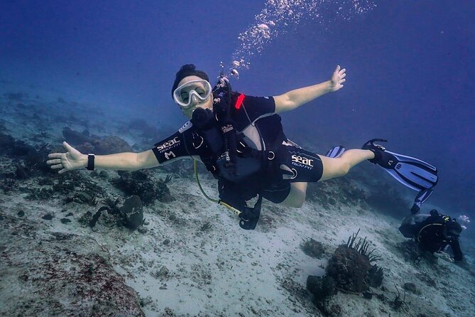 Small-Group Introductory Scuba Dive in Cozumel - Location and Meeting Details
