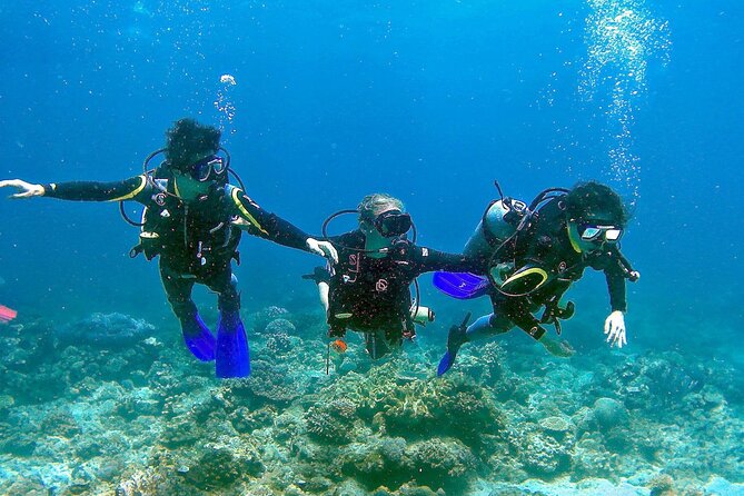 Small-Group Introductory Scuba Diving in Pula - Meeting Point Details