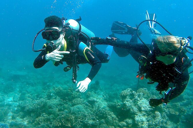 Small-Group Introductory Scuba Diving in Pula - Alternative Activities in Pula