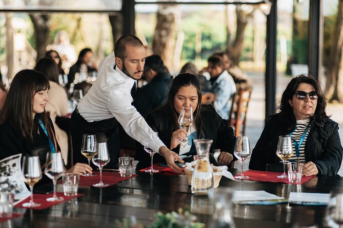 Small Group: IsolaLeVignole Wine Experience - Inclusions