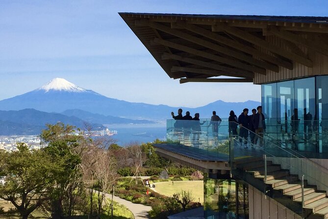 Small Group Japanese Green Tea Tasting in Shizuoka - Cancellation Policy