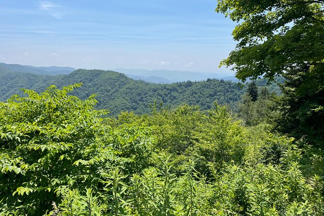 Small-Group Jeep Tour of Smoky Mountains Foothills Parkway - Tour Operator Information