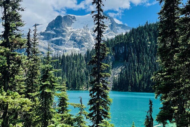 Small Group Joffre Lakes Hike and Whistler Day Trip - Who will love this tour?