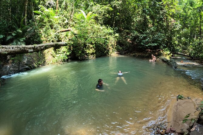 Small-Group Jungle Hiking Excursion in Khao Phra Teaw Park - Accessibility and Fitness Level