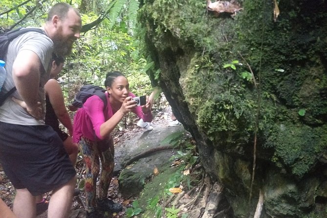 Small-Group Jungle Hiking Excursion in Khao Phra Teaw Park - Exploring the Khao Phra Teaw Park