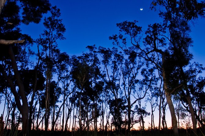 Small Group Kangaroo Island Evening and Night Tour - Weather Conditions and Dress Code