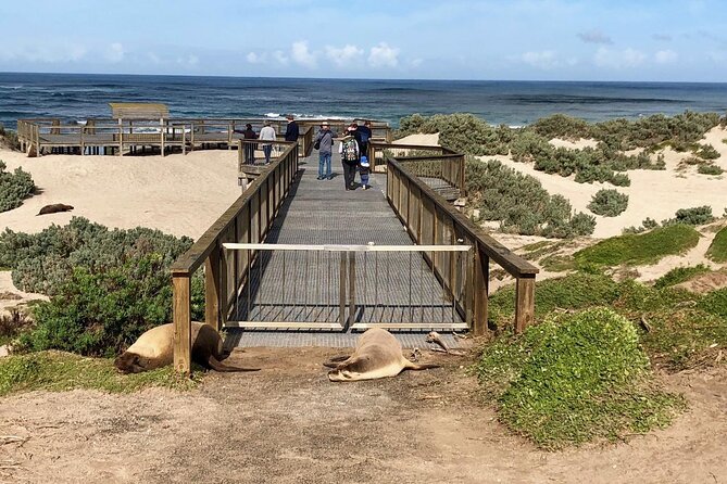 Small Group Kangaroo Island Tour - Best of KI - Traveler Reviews