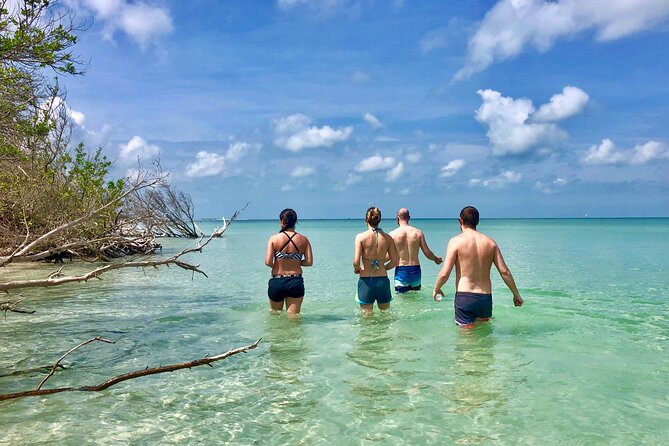 Small Group Kayak Tour of the Shell Key Preserve - Wildlife Sightings on the Kayak Adventure