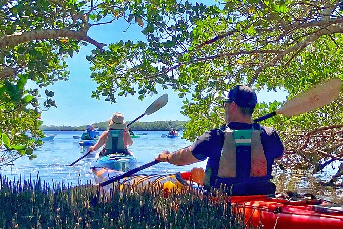 Small Group Kayak Tour of the Shell Key Preserve - Visiting Shell Island for Seashell Collection and Swimming