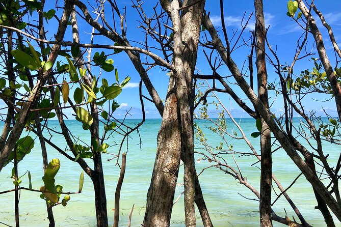 Small Group Kayak Tour of the Shell Key Preserve - Cancellation Policy and Weather Considerations