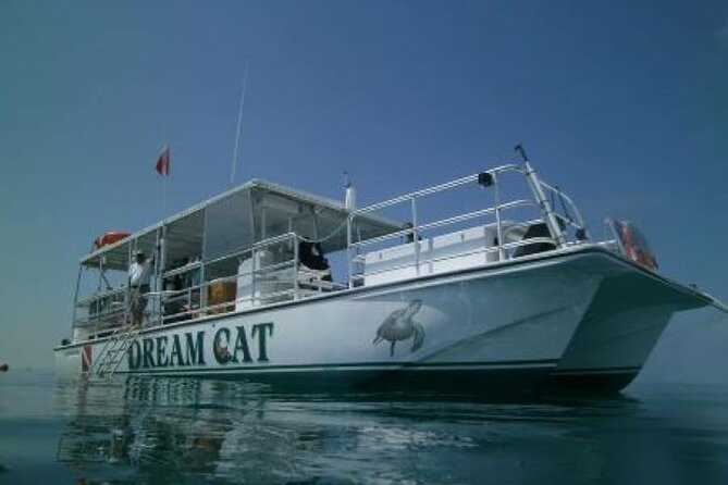 Small Group Key West Snorkel Adventure - Overview and Pricing