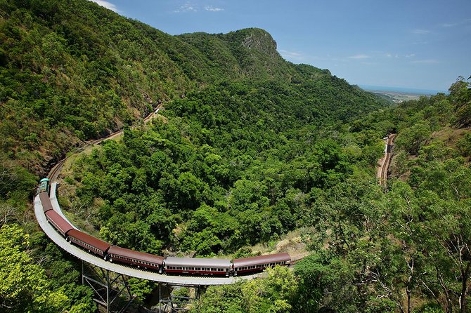 Small Group Kuranda Tour via Kuranda Scenic Rail and Skyrail - Skyrail Rainforest Cableway