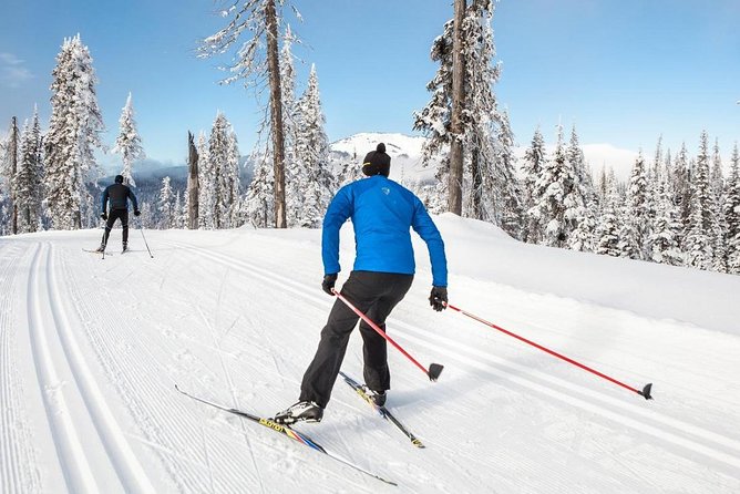 Small-Group Lapland Cross Country Ski - Tour Inclusions and Highlights