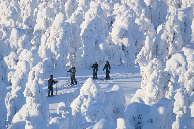 Small-Group Lapland Cross Country Ski - Booking and Cancellation Policy