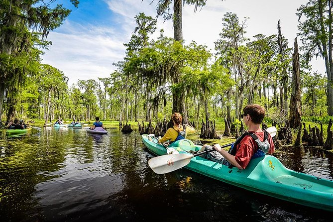 Small-Group Manchac Swamp Kayak Tour With Local Guide - Tour Details