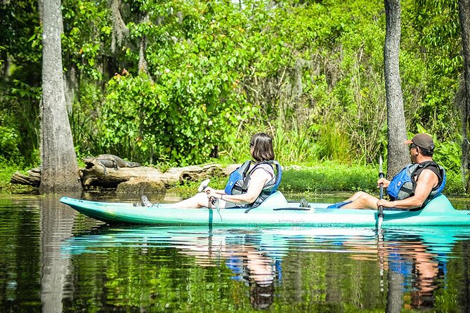 Small-Group Manchac Swamp Kayak Tour With Local Guide - What to Expect