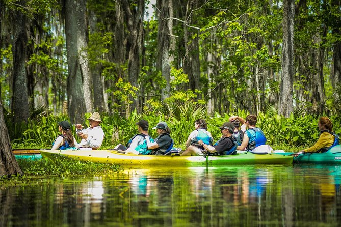 Small-Group Manchac Swamp Kayak Tour With Local Guide - Cancellation Policy