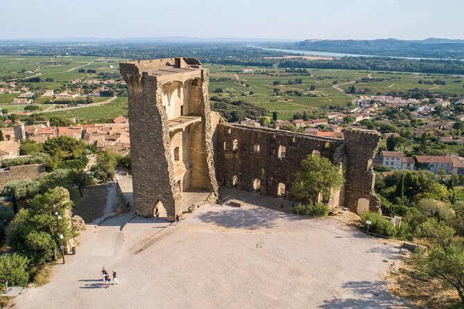 Small Group Marseille Shore Excursion : Avignon & Chateauneuf Du Pape Wine Tour - Pont Davignon
