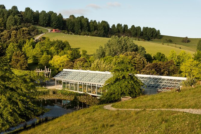 Small-Group Matakana Coast Food and Wine Tour From Auckland - Memorable Experiences