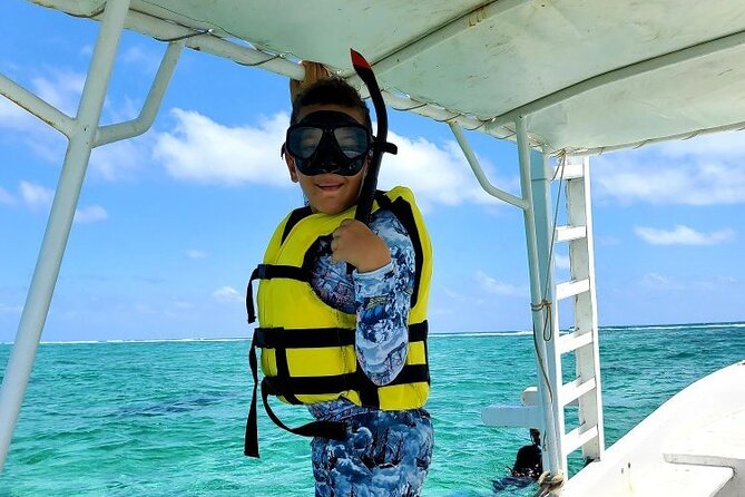 Small-Group Mesoamerican Barrier Reef Snorkeling in Puerto Morelos - Snorkeling Activities and Marine Life