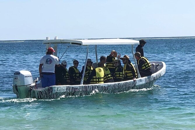 Small-Group Mesoamerican Barrier Reef Snorkeling in Puerto Morelos - Participant Requirements