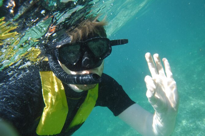 Small-Group Mesoamerican Barrier Reef Snorkeling in Puerto Morelos - Confirmation and Booking Details